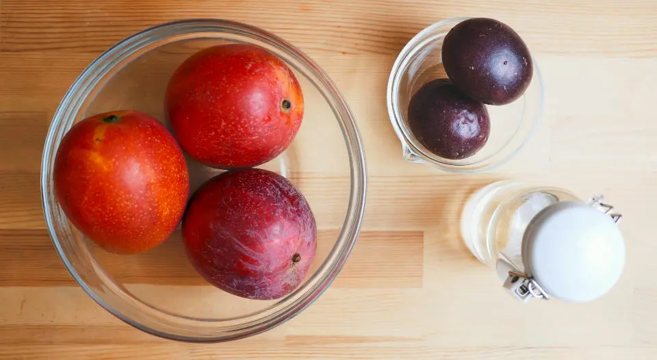 製作百香芒果雪酪所需的食材