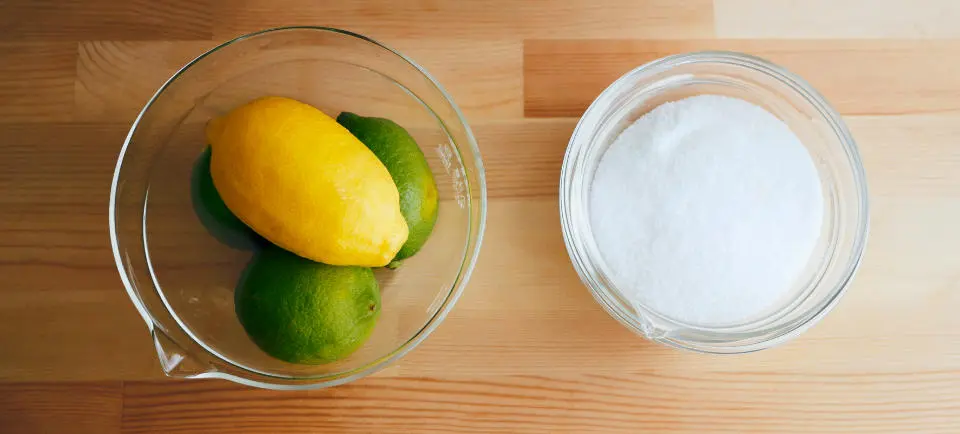 製作檸檬雪酪所需的食材